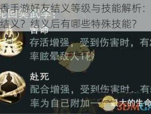 楚留香手游好友结义等级与技能解析：多少级可结义？结义后有哪些特殊技能？