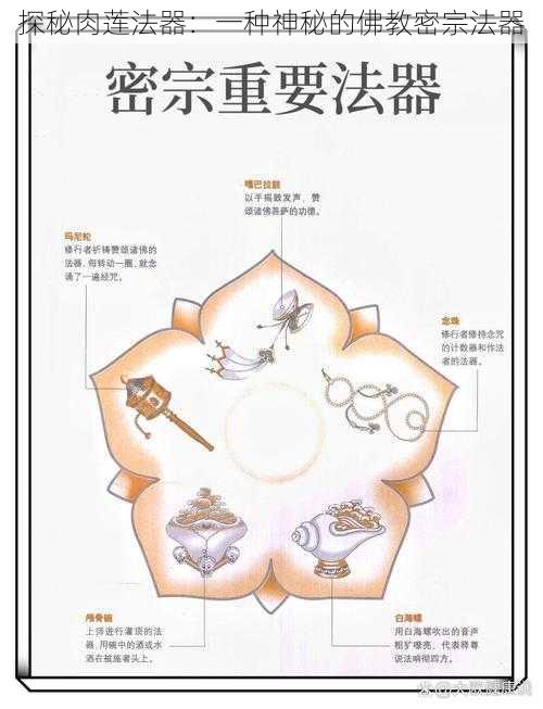 探秘肉莲法器：一种神秘的佛教密宗法器