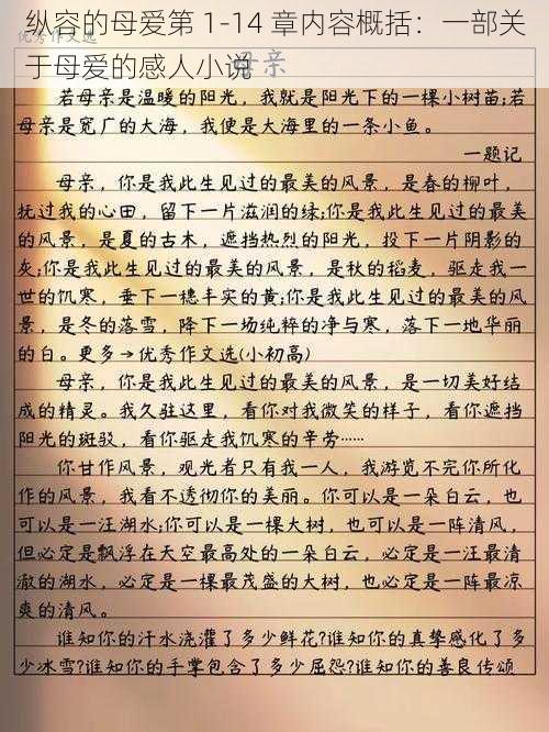 纵容的母爱第 1-14 章内容概括：一部关于母爱的感人小说