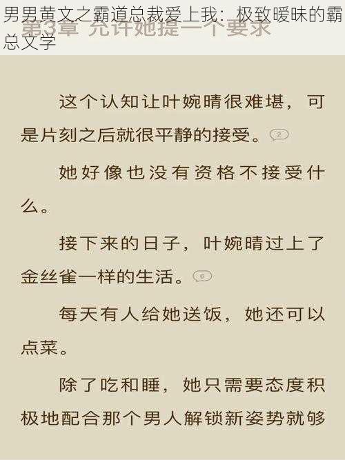 男男黄文之霸道总裁爱上我：极致暧昧的霸总文学