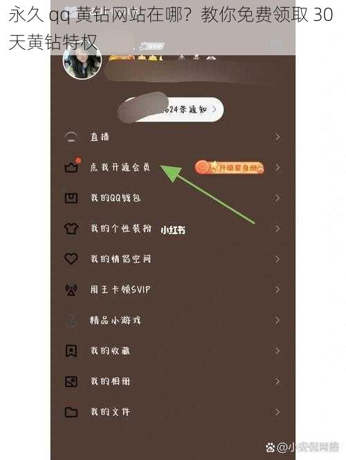 永久 qq 黄钻网站在哪？教你免费领取 30 天黄钻特权